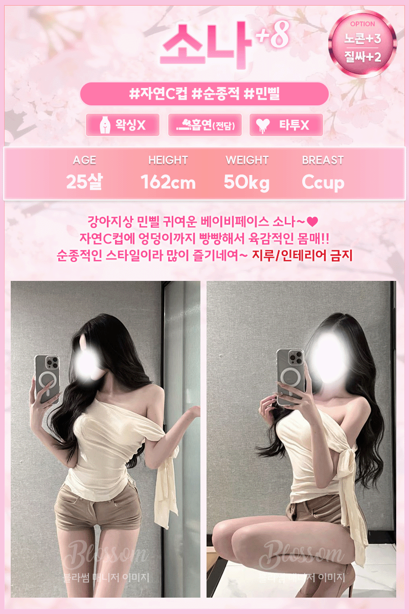 소나.gif