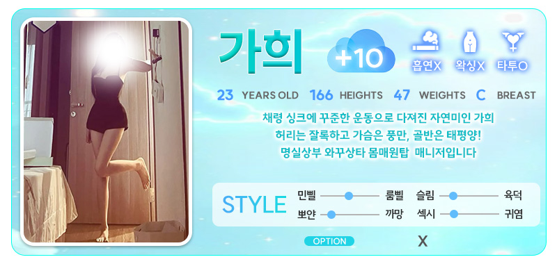 강남 오피 스카이오피 매장 프로필 및 코스 안내 67