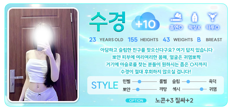 강남 오피 스카이오피 매장 프로필 및 코스 안내 65