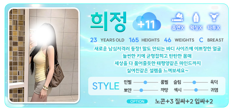 강남 오피 스카이오피 매장 프로필 및 코스 안내 53