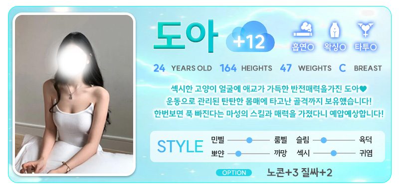 강남 오피 스카이오피 매장 프로필 및 코스 안내 42