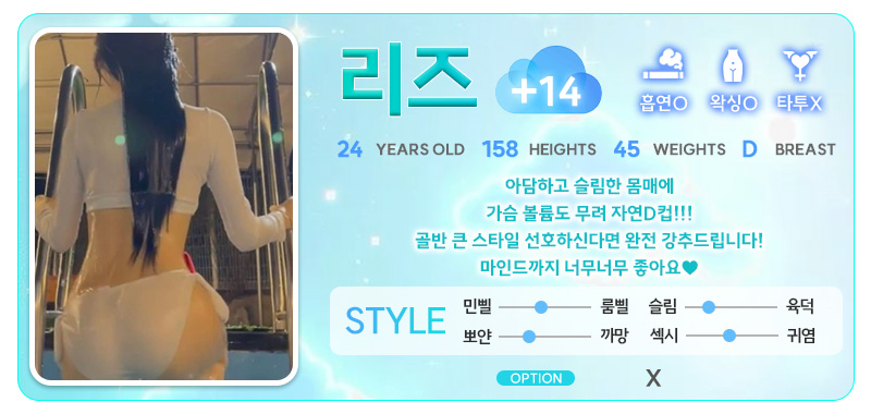 강남 오피 스카이오피 매장 프로필 및 코스 안내 15
