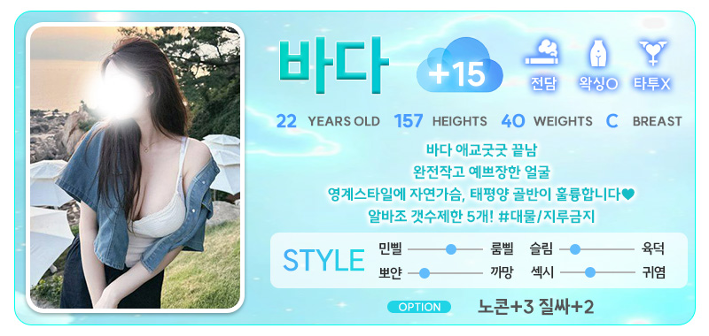 강남 오피 스카이오피 매장 프로필 및 코스 안내 8