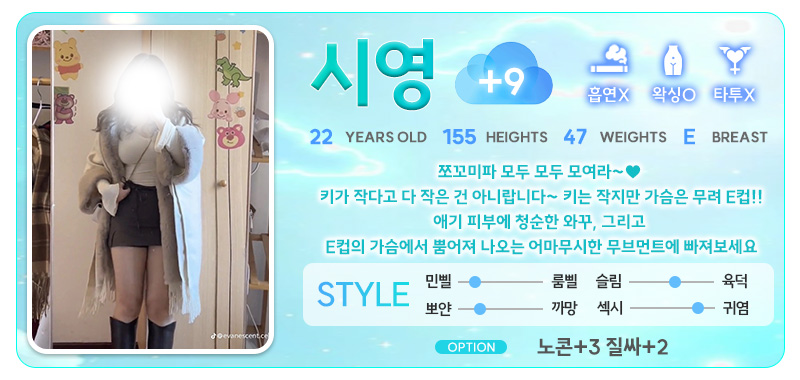 강남 오피 스카이오피 매장 프로필 및 코스 안내 73