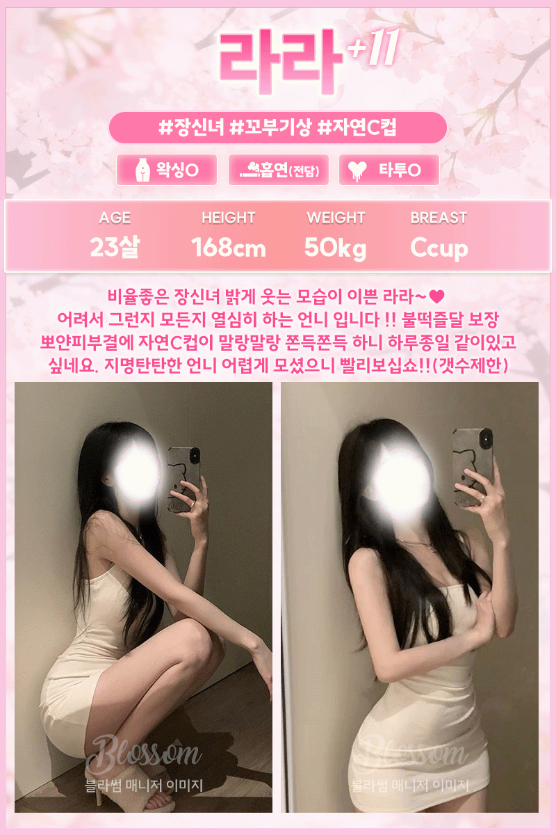 강남  블라썸 01021354344 48